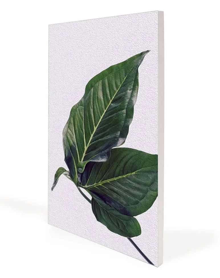 Slim SEG fabric frame with a printed graphic, wall mounted